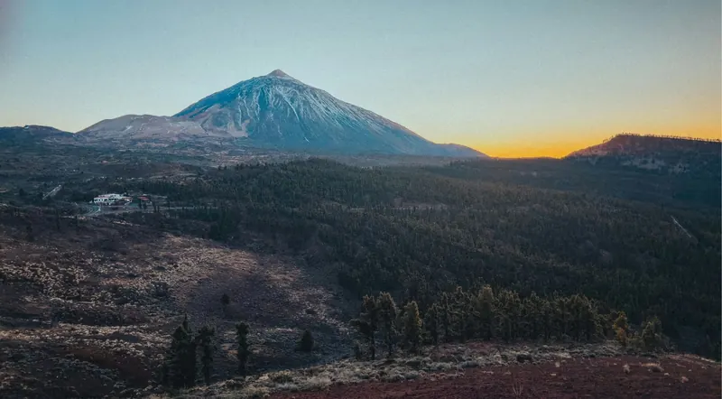 Mount Teide silhouetted at dusk above Canary pine forest