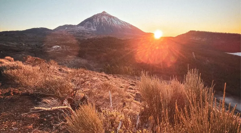The sun setting beside Mount Teide with golden light on volcanic scrub